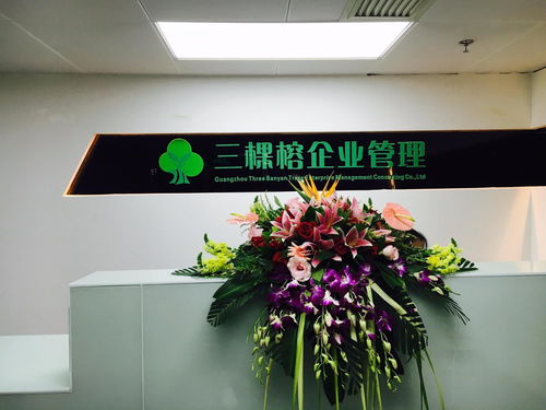 专业赋能，助力成长 广州三棵榕企业管理顾问的价值与实践